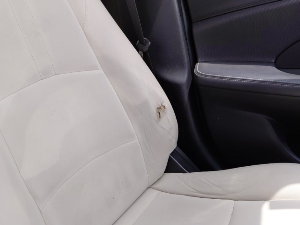 شانجان السفن Full Option  2023 image