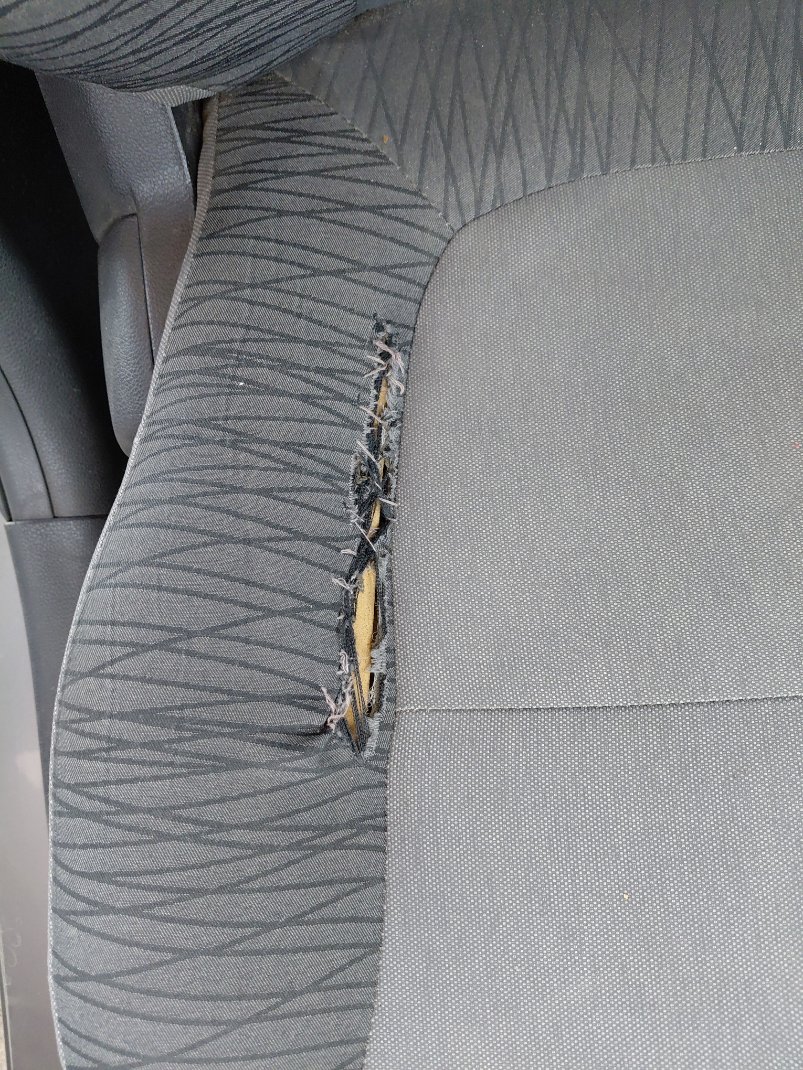 KIA Pegas FLEET 2021 image