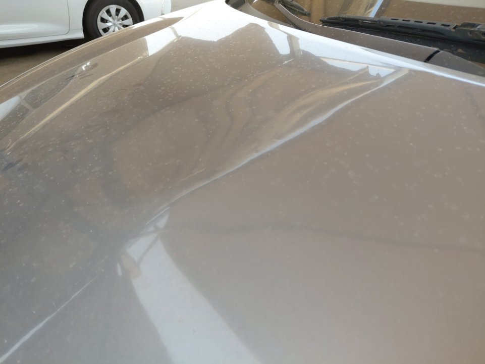 KIA Pegas FLEET 2021 image