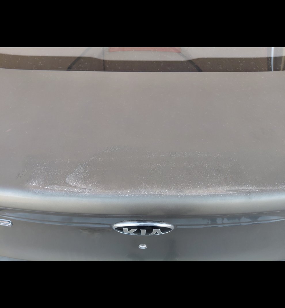 KIA Pegas FLEET 2021 image