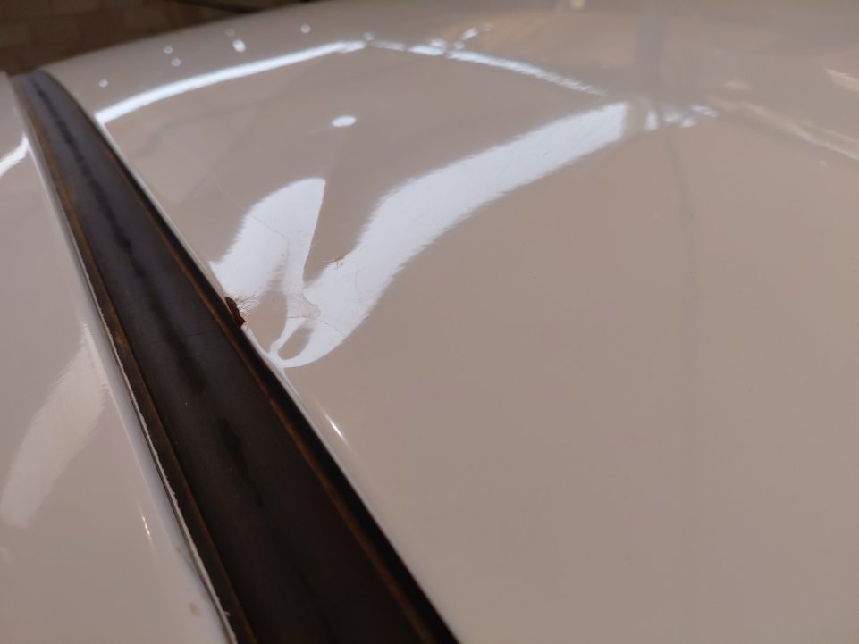 هيونداي أكسنت FLEET  2019 image