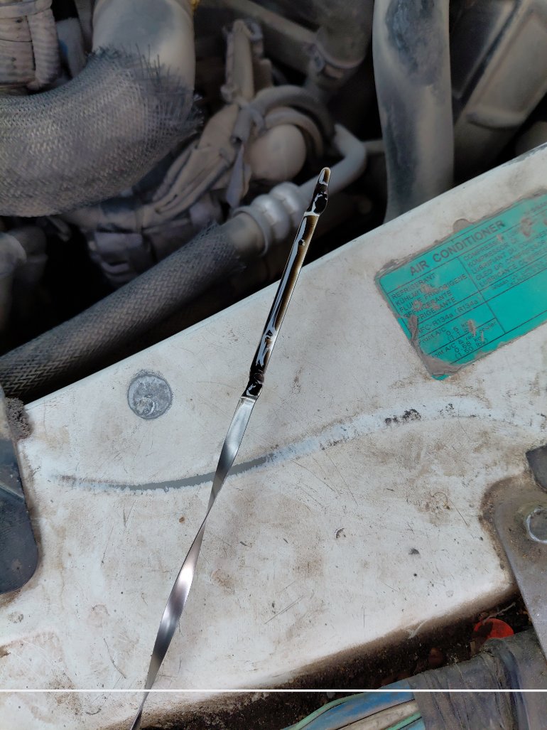 نيسان Urvan  2020 image