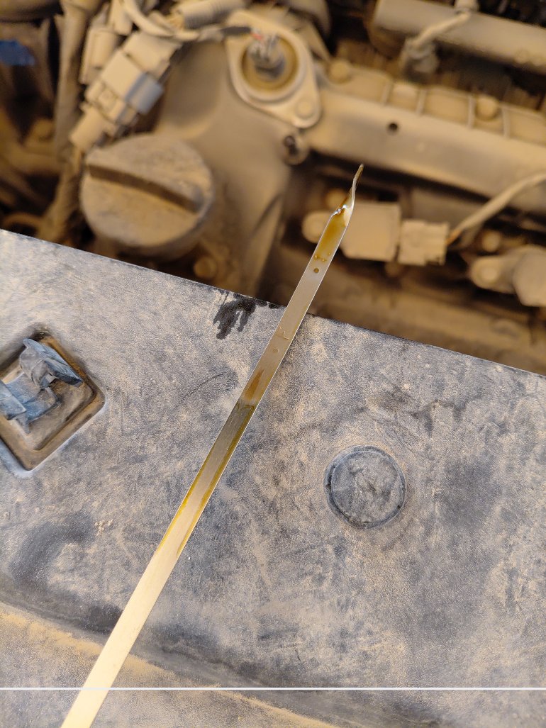 KIA Carnival YP EX FWD 2020 image