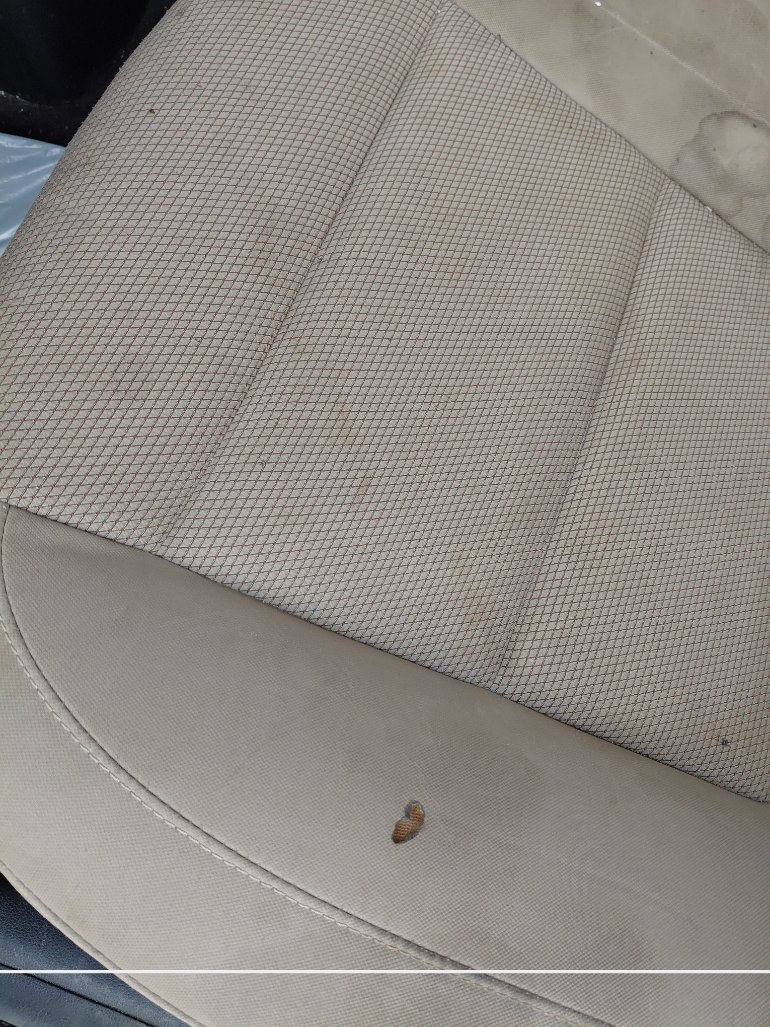 هيونداي إلنترا  2020 image