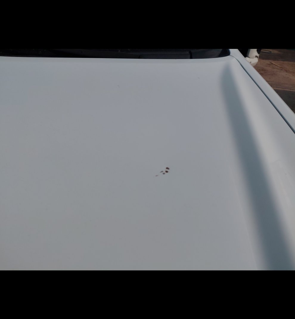 ايسوزو ديماكس 4x4 2022 image