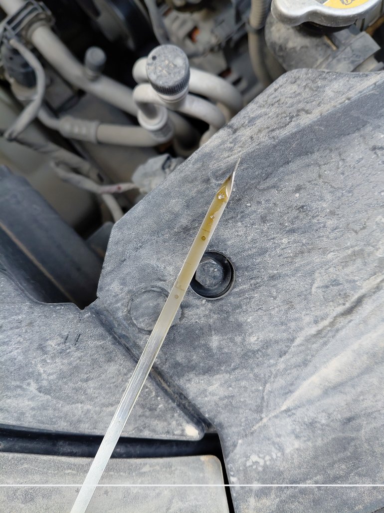 KIA Cadenza  2017 image