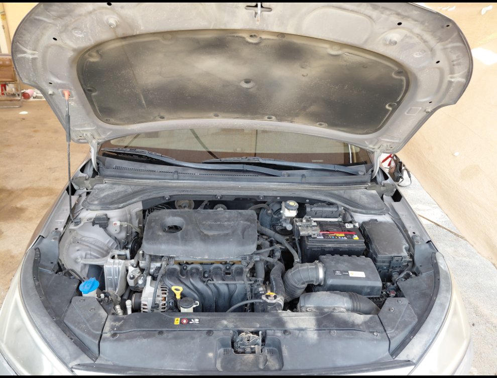 هيونداي إلنترا FLEET  2019 image