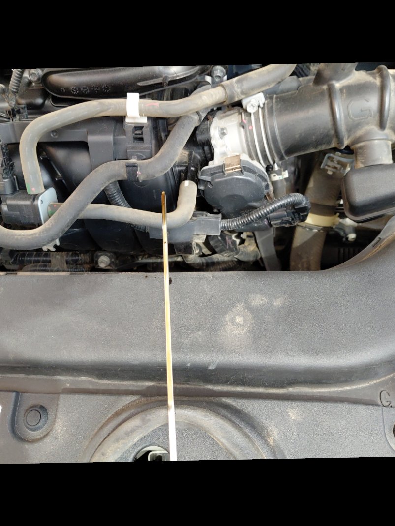 Toyota Corolla XLI _ Hold _ للتاكد من التصوير 2023 image