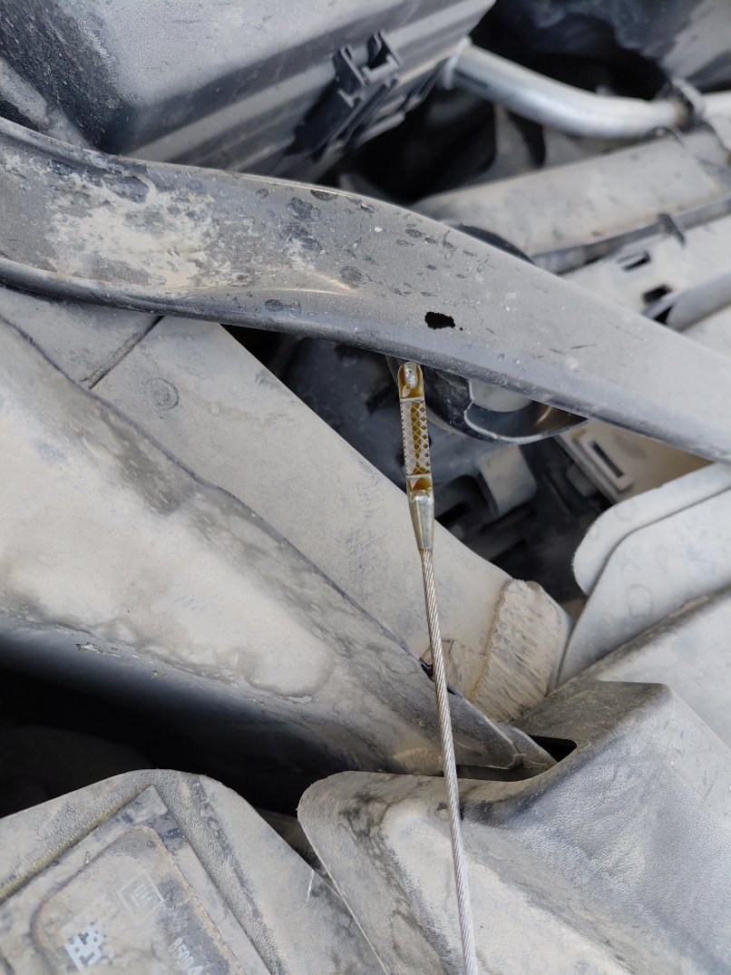 Chevrolet  Tahoe  2021 image