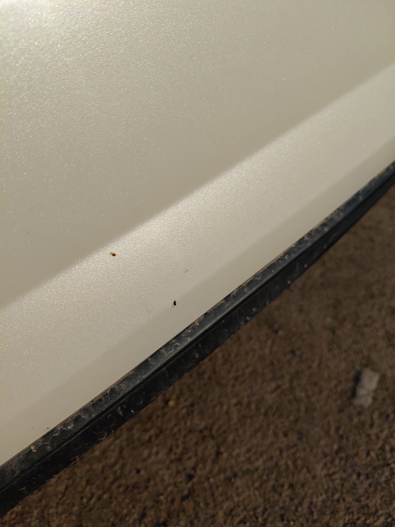 Toyota Fortuner  2022 image