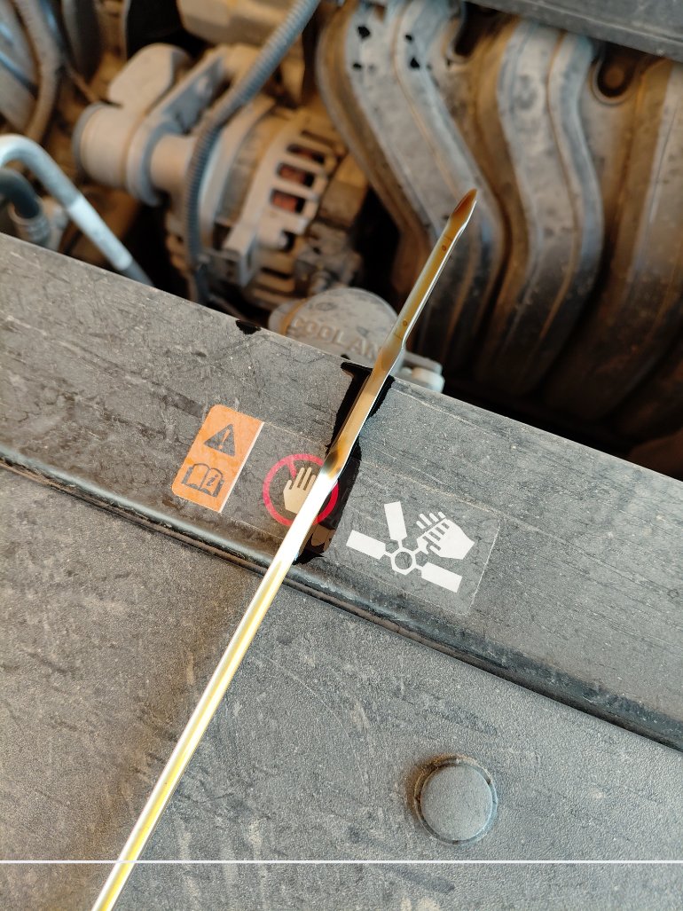 KIA Seltos  2024 image