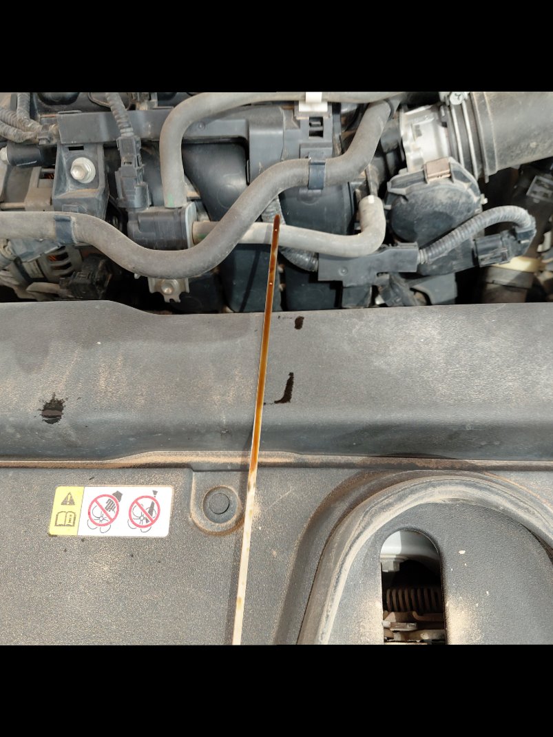 تويوتا كورولا  XLI EXE M/R  2022 image