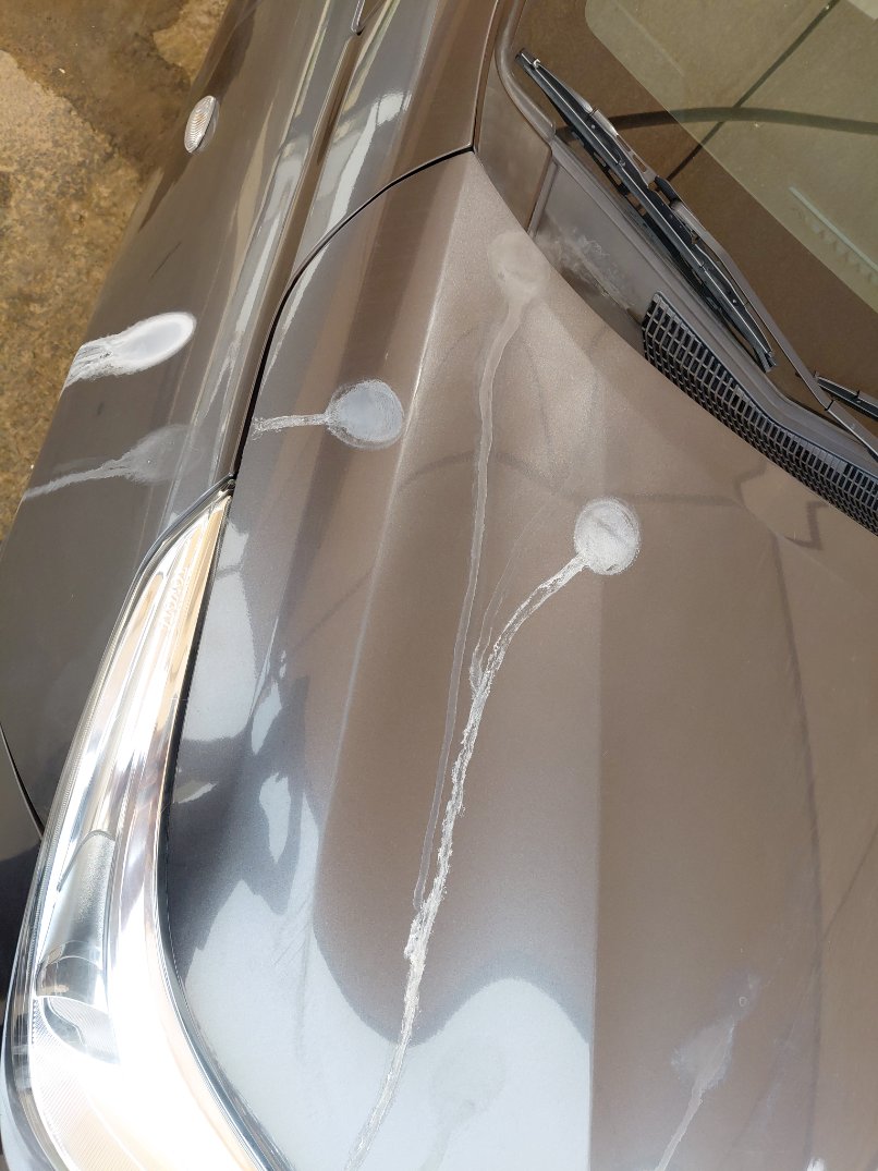 تويوتا يارس SD Y FLT  2021 image