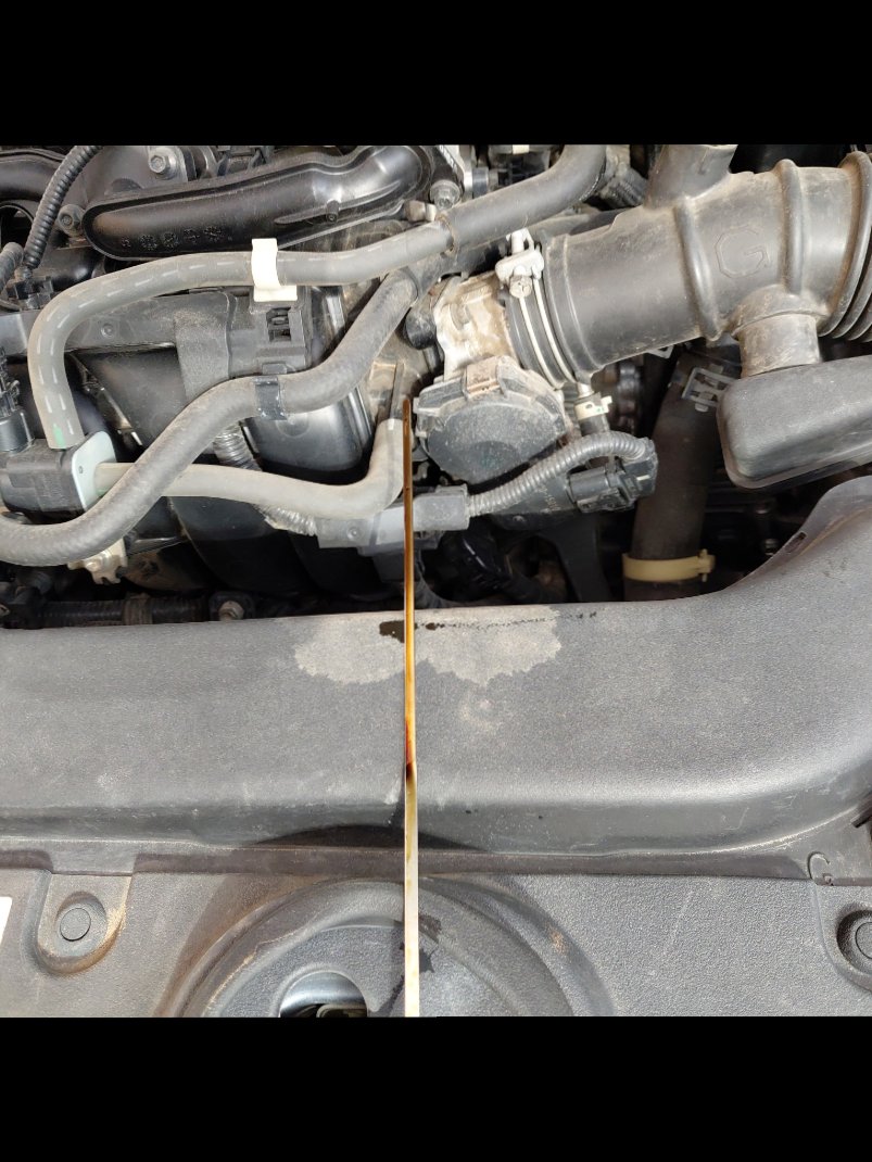 تويوتا كورولا XLI 2021 image