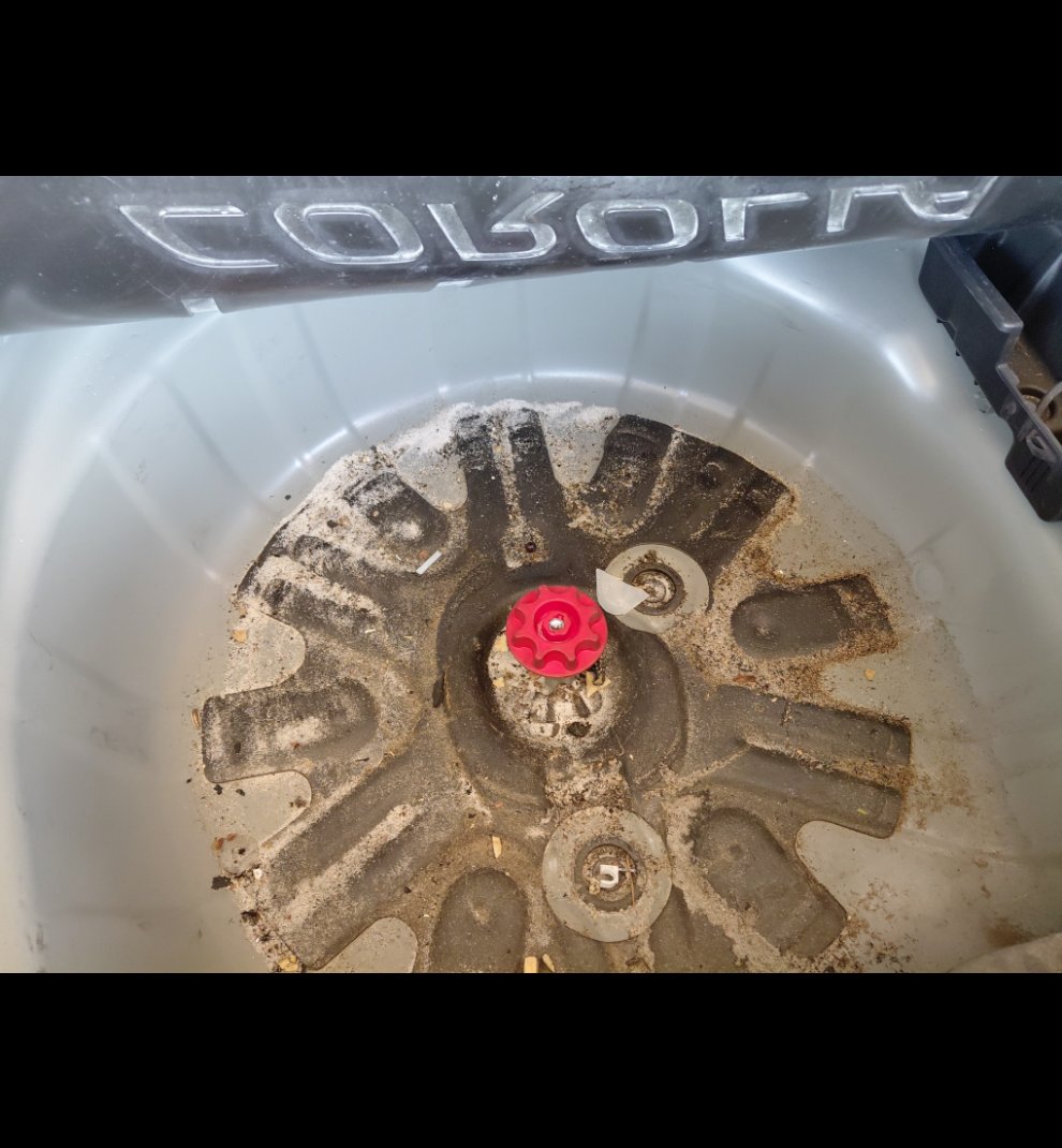 تويوتا كورولا XLI 2021 image