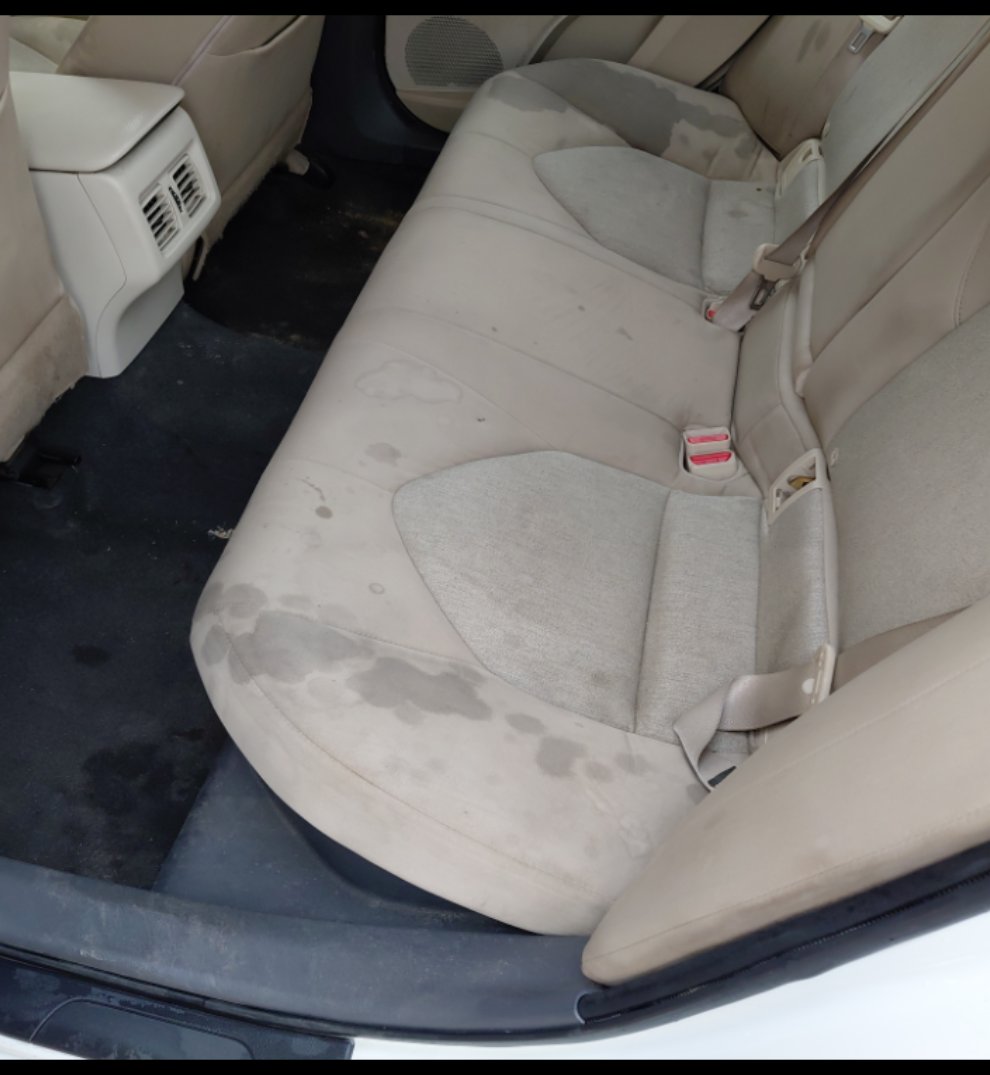 تويوتا كامري LE HEV 2019 image