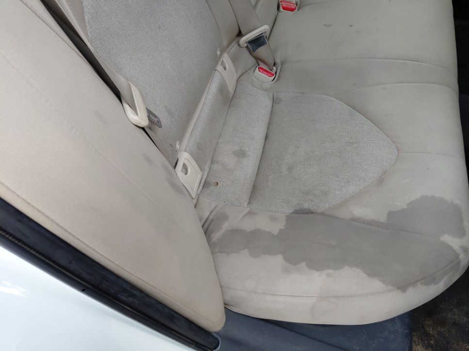 تويوتا كامري LE HEV 2019 image