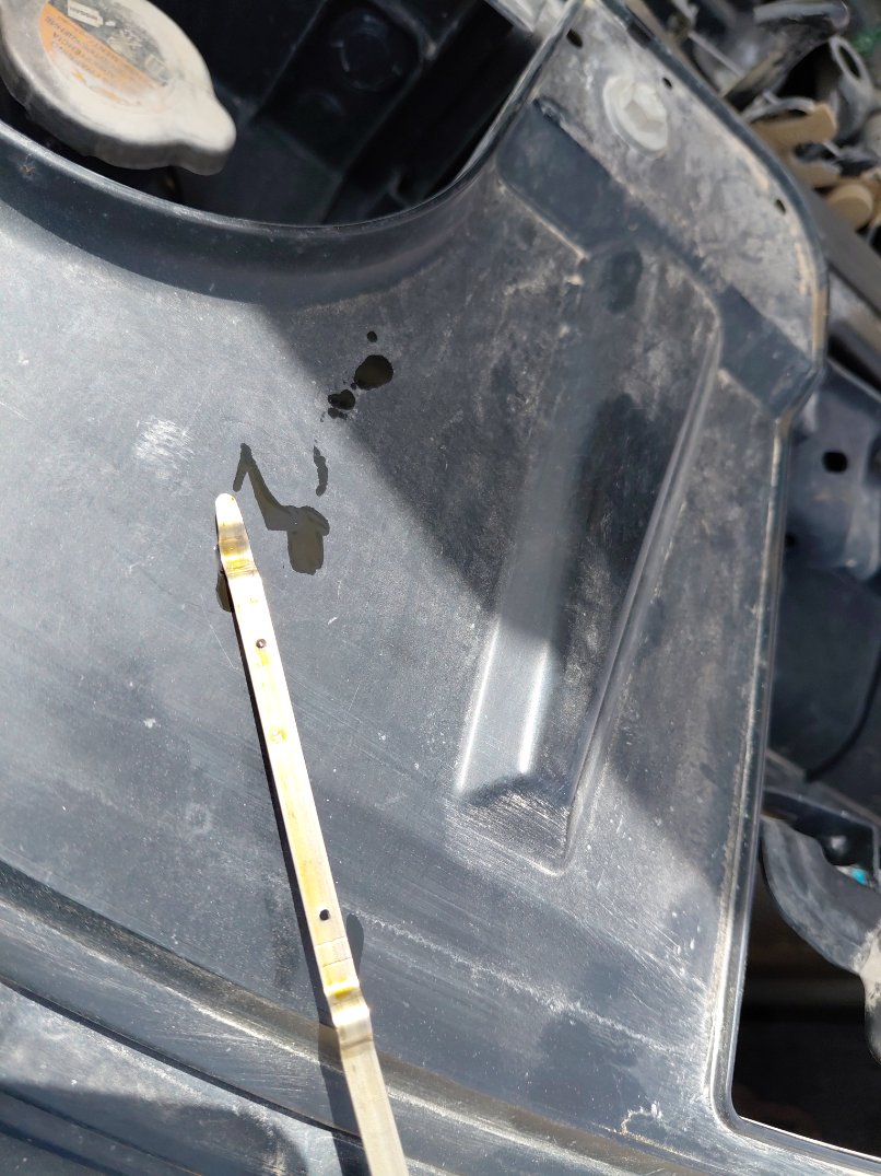 نيسان X-Trail  2022 image