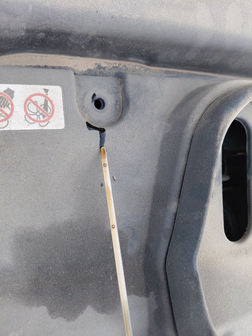 Toyota Corolla XLI EXECUTIVE M/R  2022 image