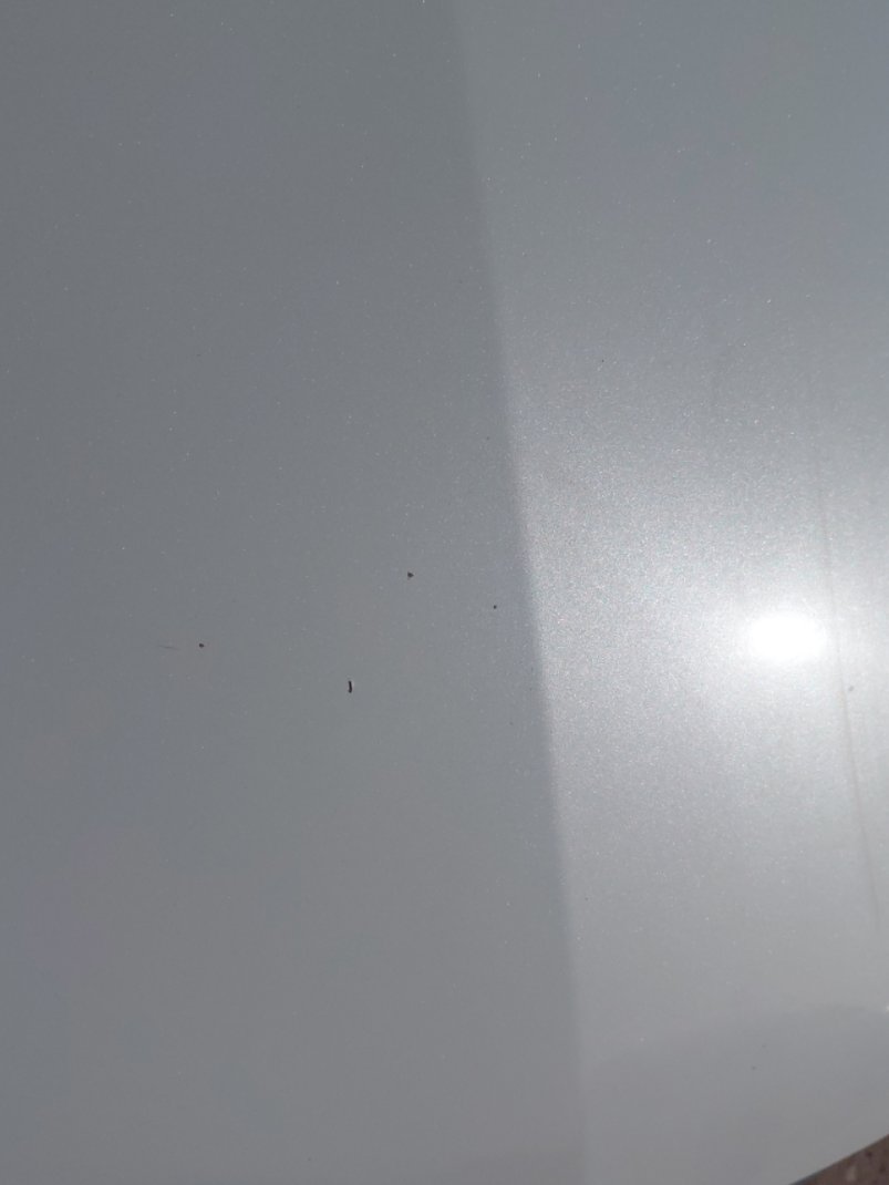 تويوتا كورولا XLI 2022 image