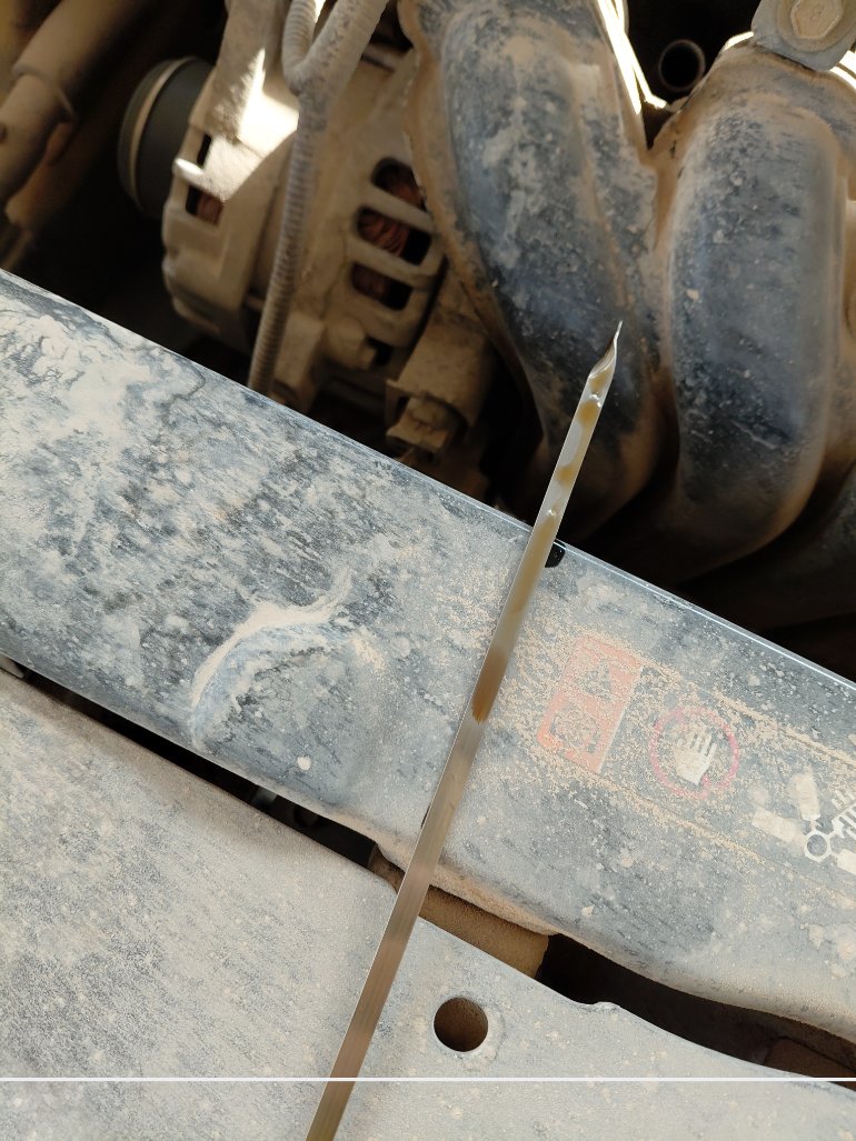 كيا بيجاس FLEET 2021 image