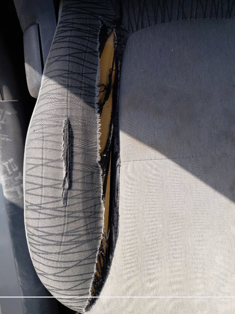 كيا بيجاس FLEET 2021 image