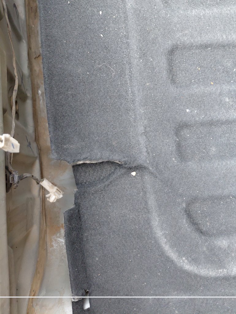 كيا بيجاس FLEET 2021 image