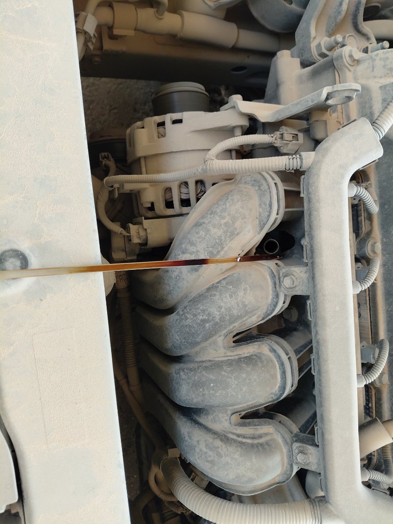 كيا بيجاس LX 2020 image