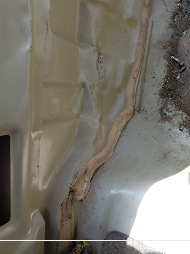 كيا سيراتو FLEET 2018 image