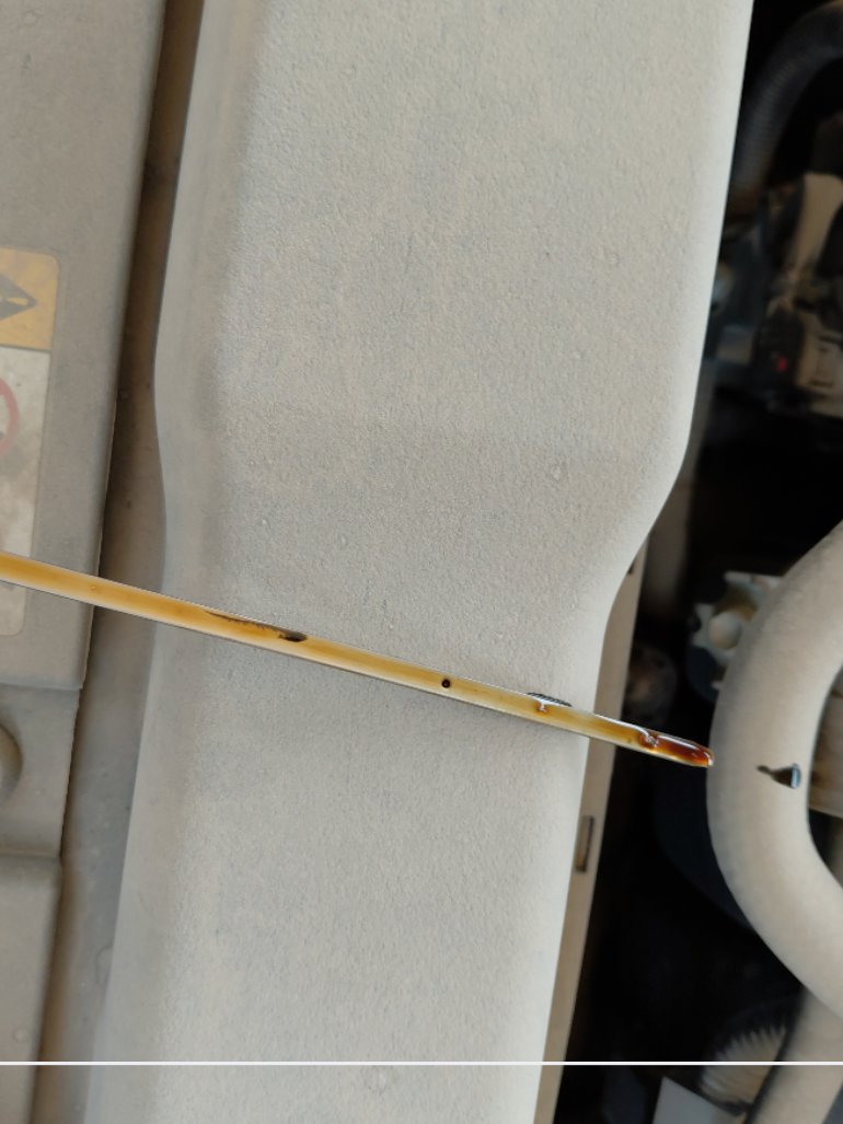 Toyota Corolla XLI 2021 image