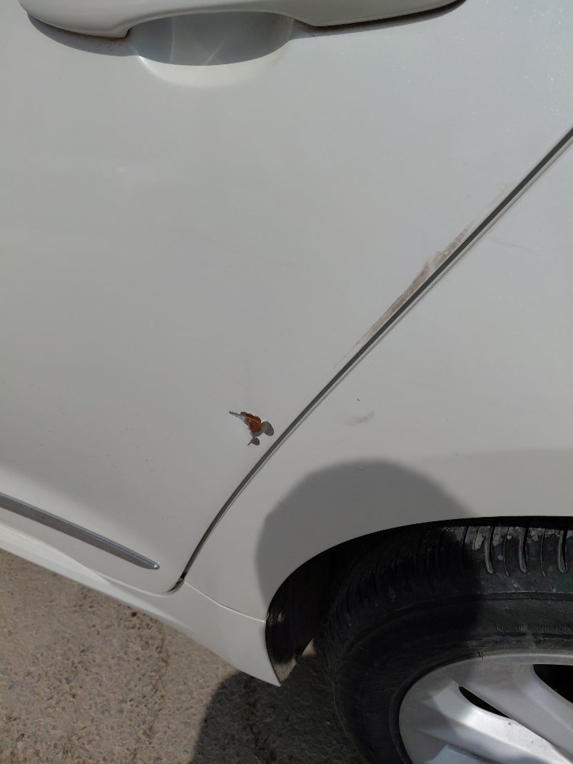 تويوتا كورولا XLI EXECUTIVE M/R 2020 image