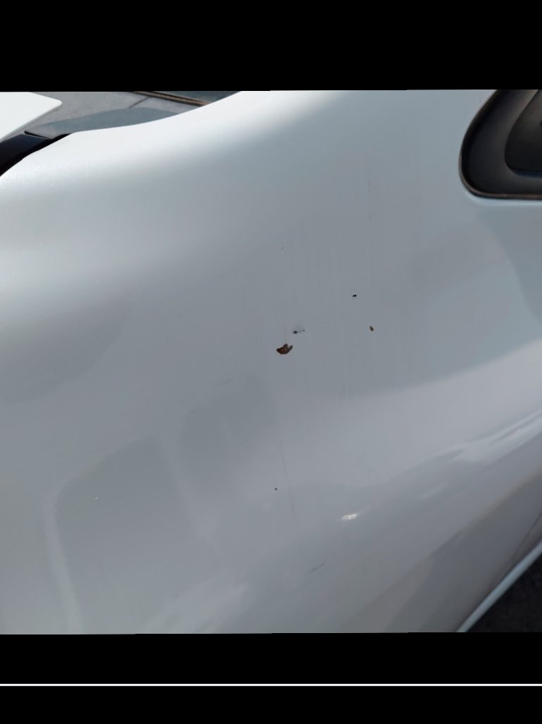 Toyota Corolla XLI 2021 image