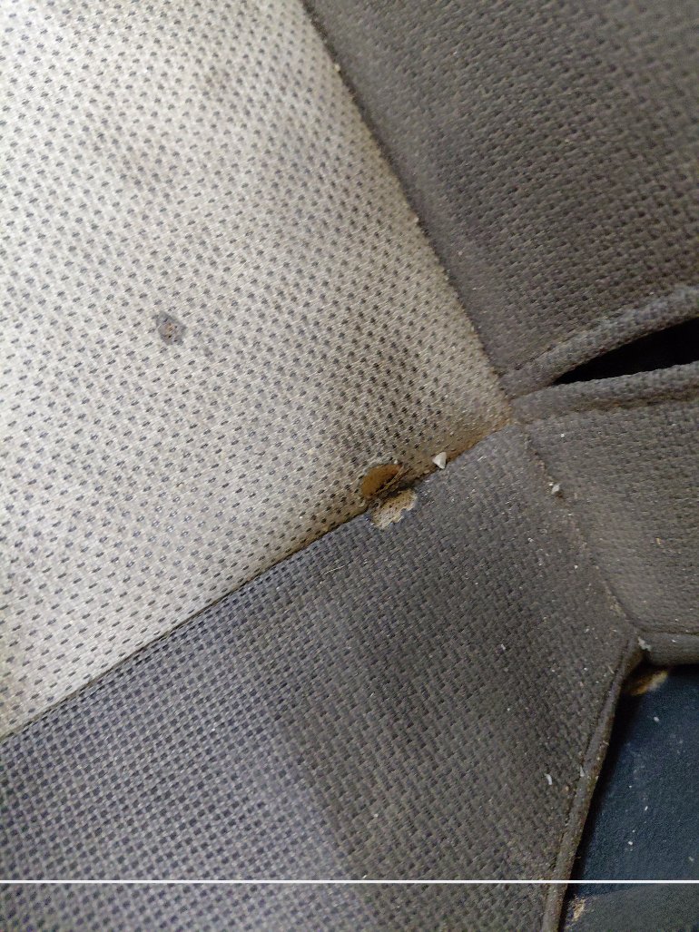 تويوتا كورولا XLI EXECUTIVE 2022 image