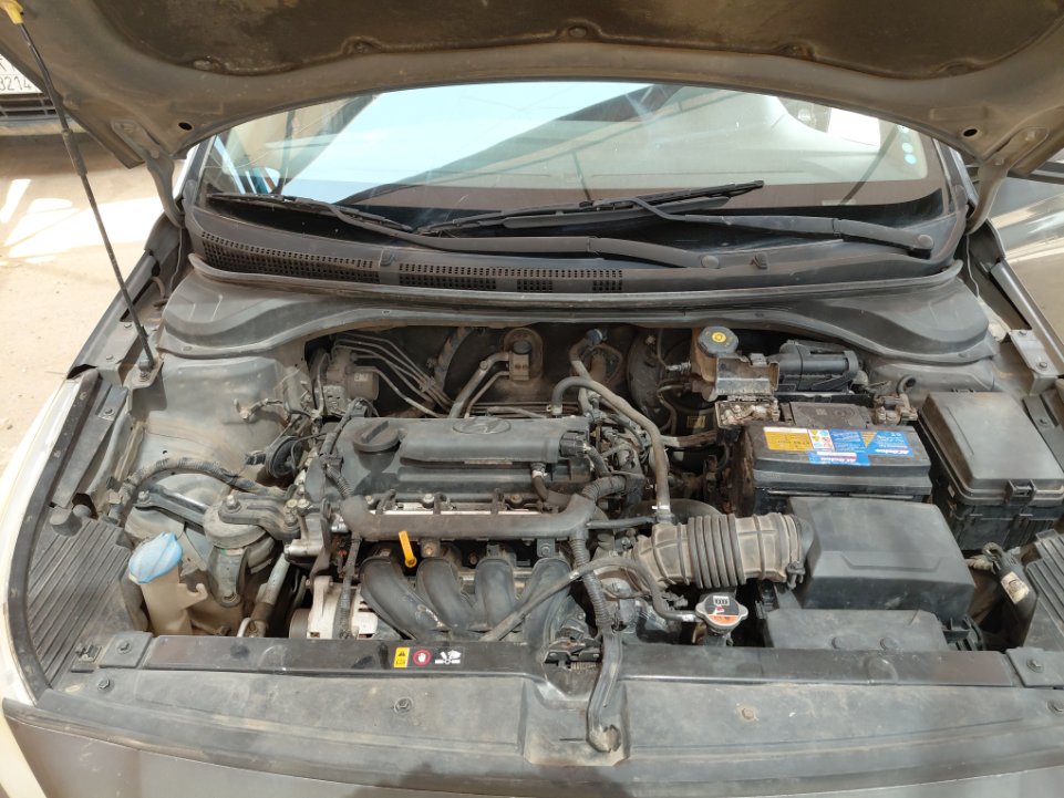 هيونداي أكسنت GL 2020 image