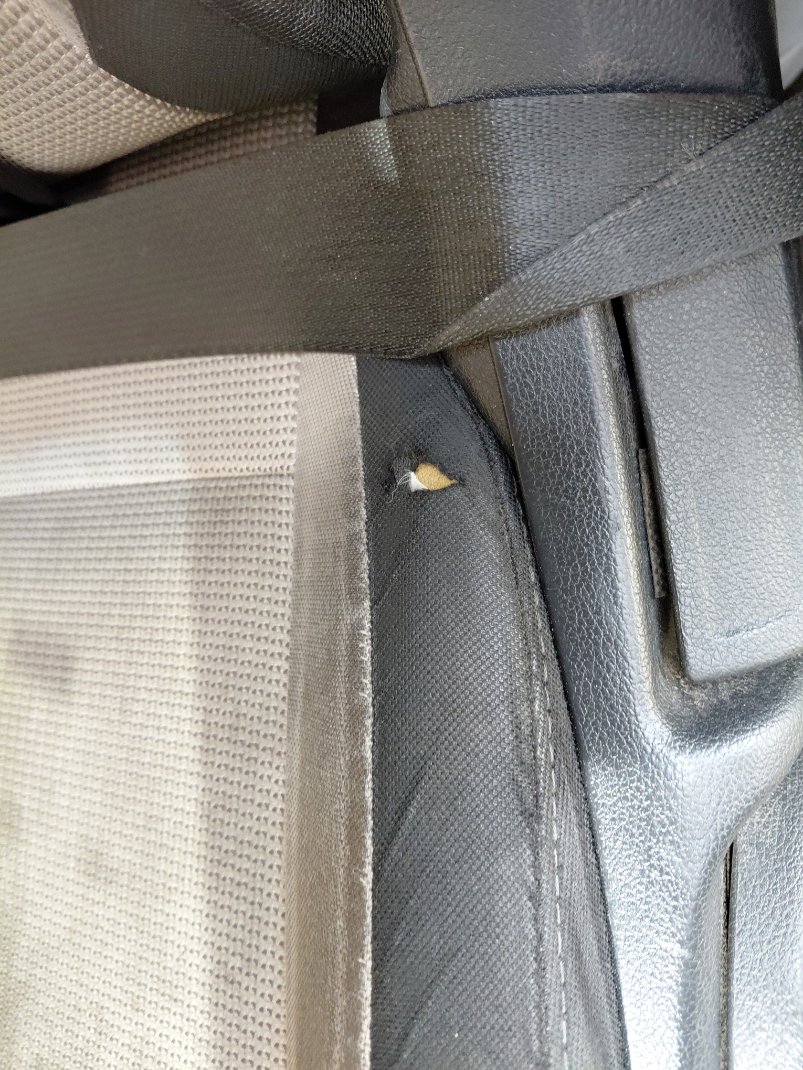 هيونداي أكسنت GL 2020 image