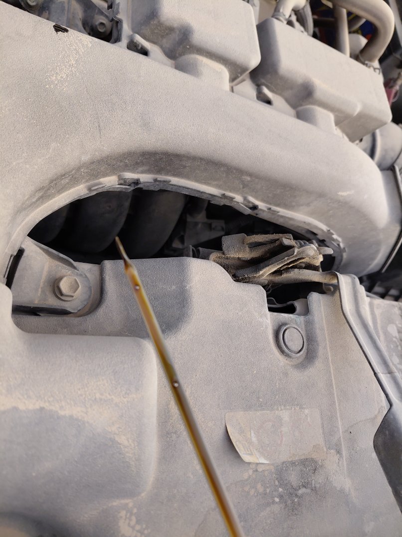 Toyota RAV4 XLE SPORTS UTILITY 2020 image