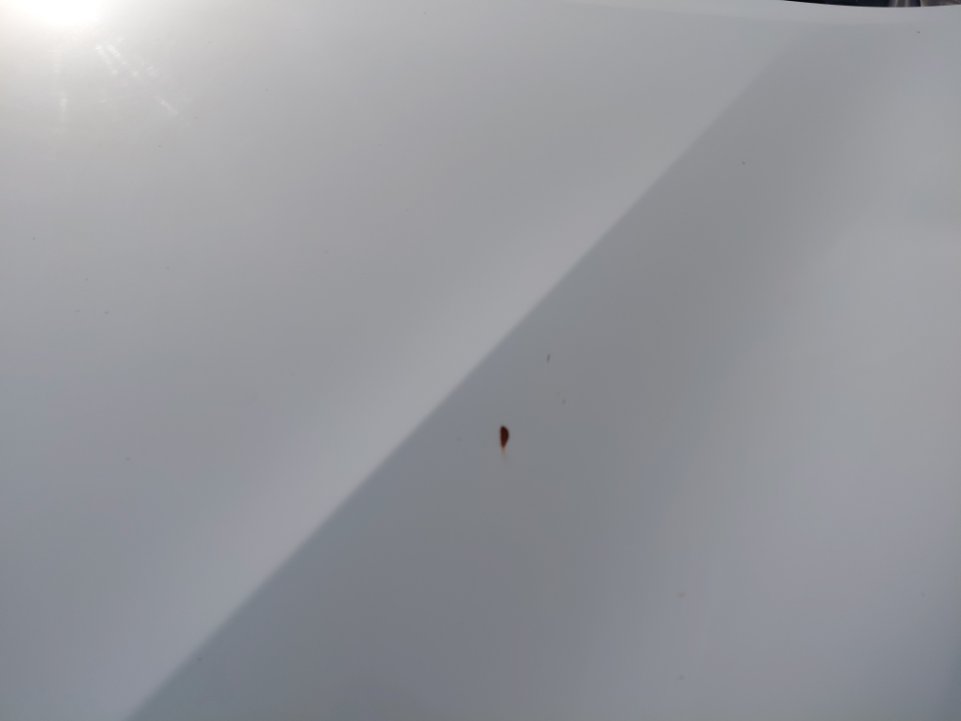 Toyota Yaris SD Y FLT  2020 image