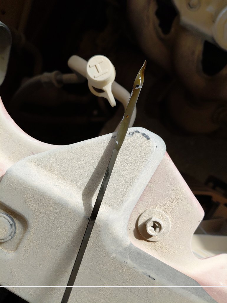 سوزوكي ديزاير FLEET 2021 image