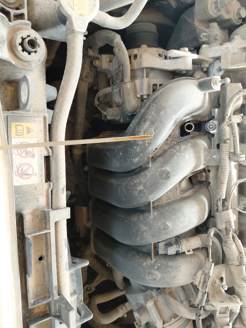 تويوتا كورولا XLI 2019 image