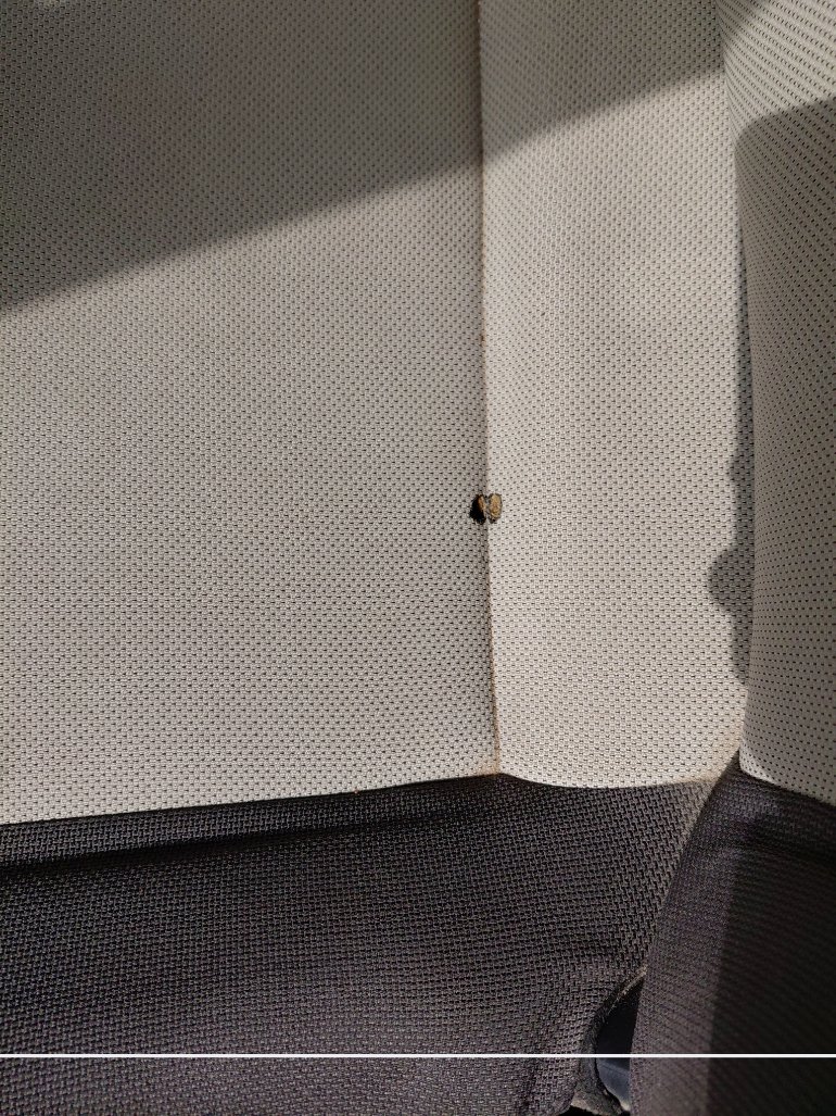 Toyota Corolla XLI 2021 image