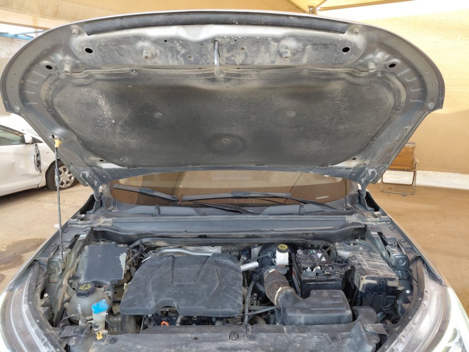 Haval Jolion Basic Sports 2024 image