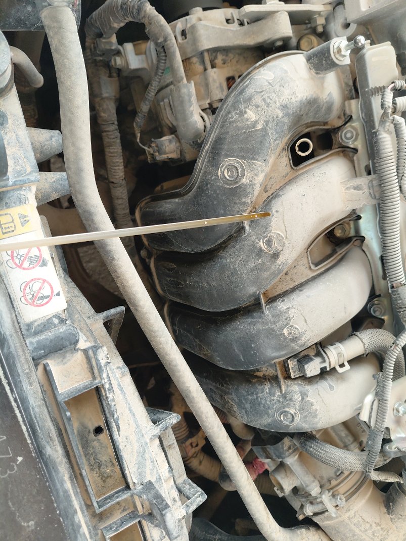 تويوتا كورولا XLI EXECUTIVE M/R 2019 image