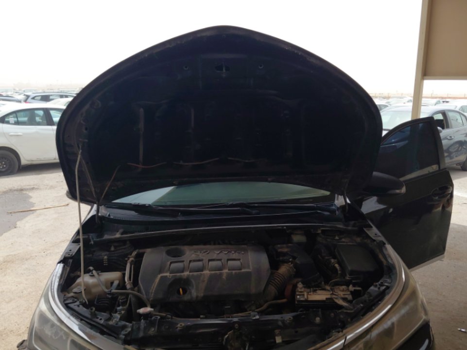 تويوتا كورولا XLI EXECUTIVE M/R 2019 image