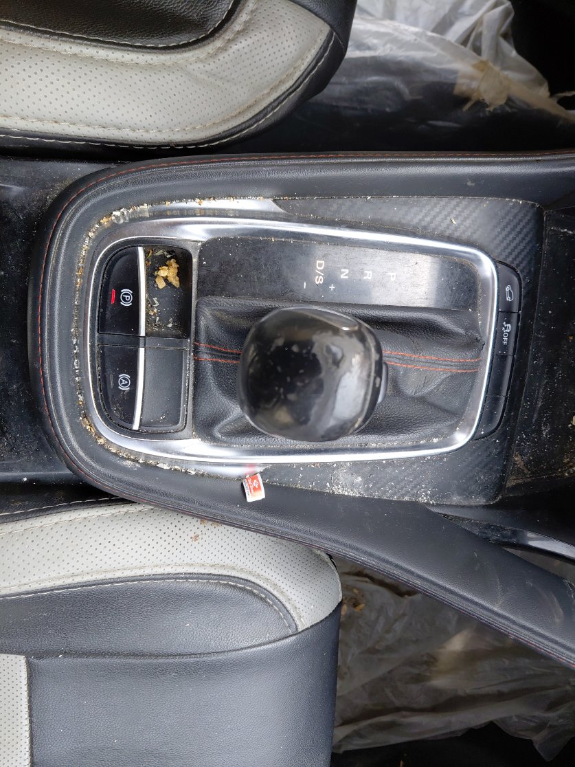 إم جي ZS STD Sports 2022 image