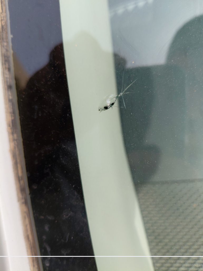 Toyota Corolla XLI 2021 image