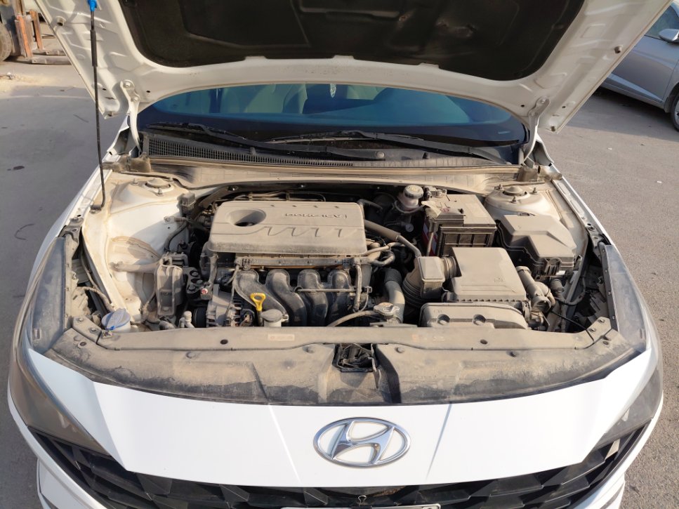 هيونداي إلنترا FLEET 2021 image