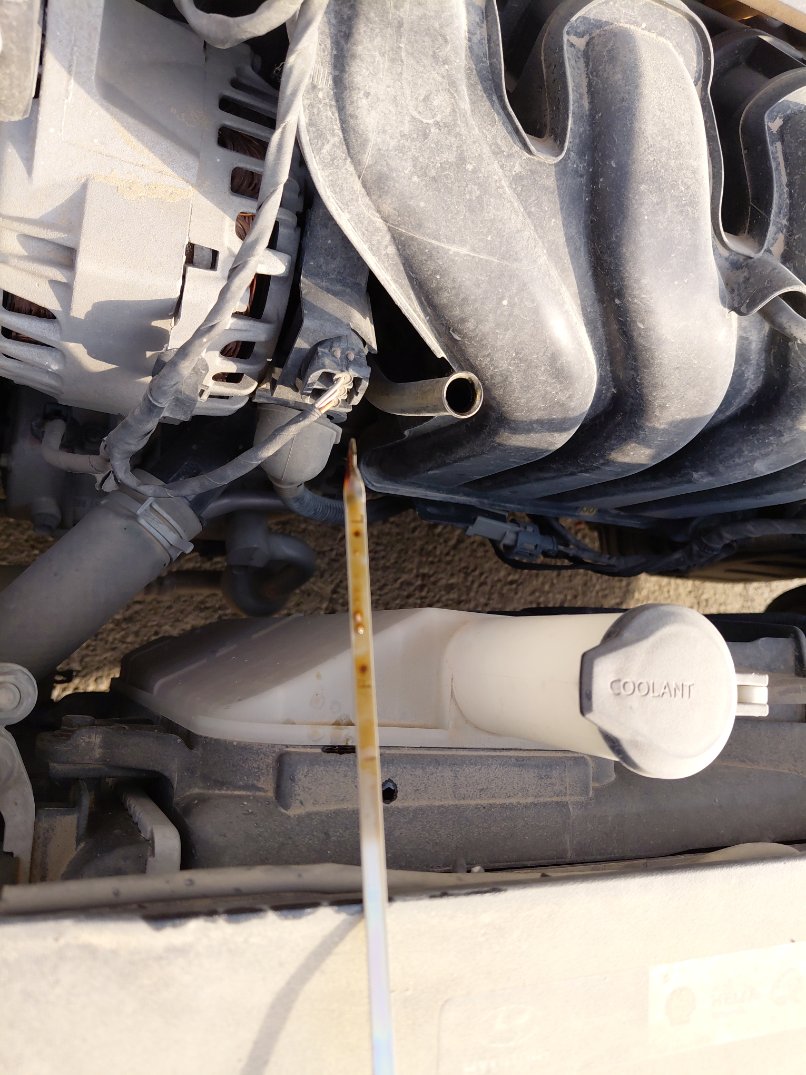 هيونداي إلنترا FLEET 2021 image