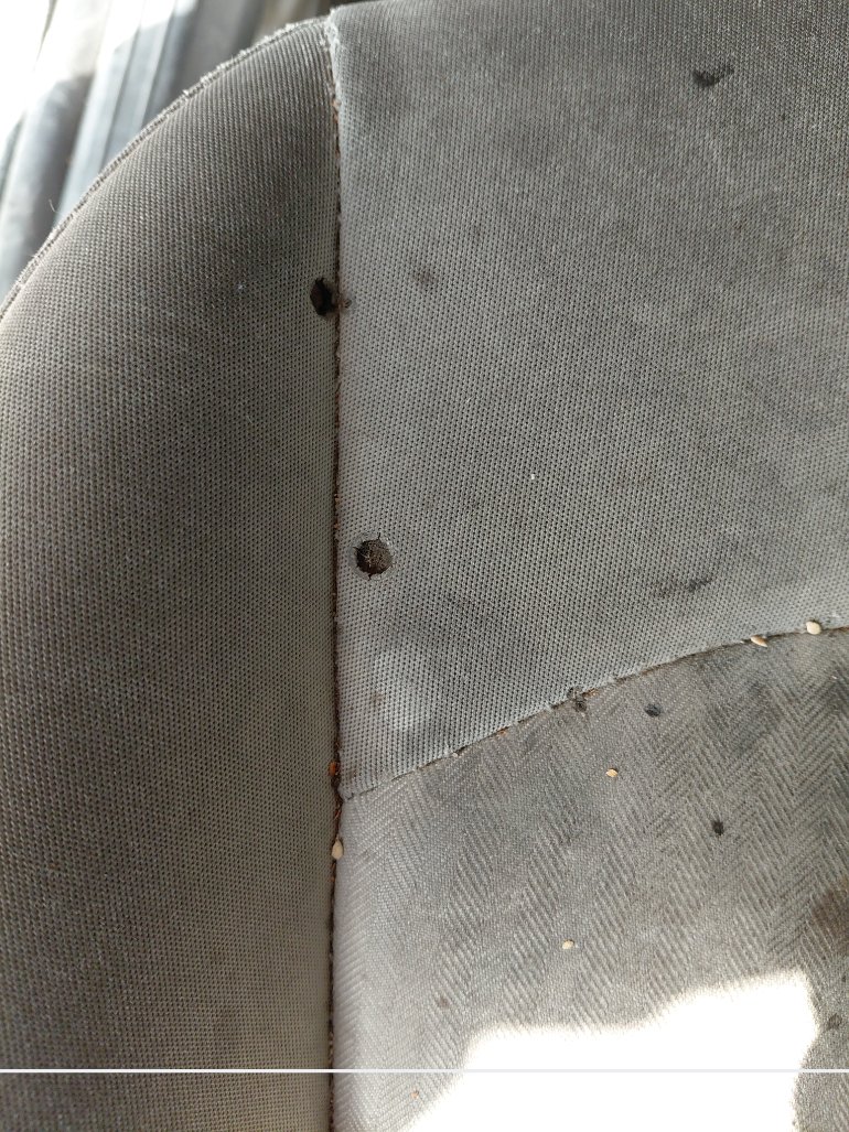 هيونداي سوناتا FLEET 2021 image