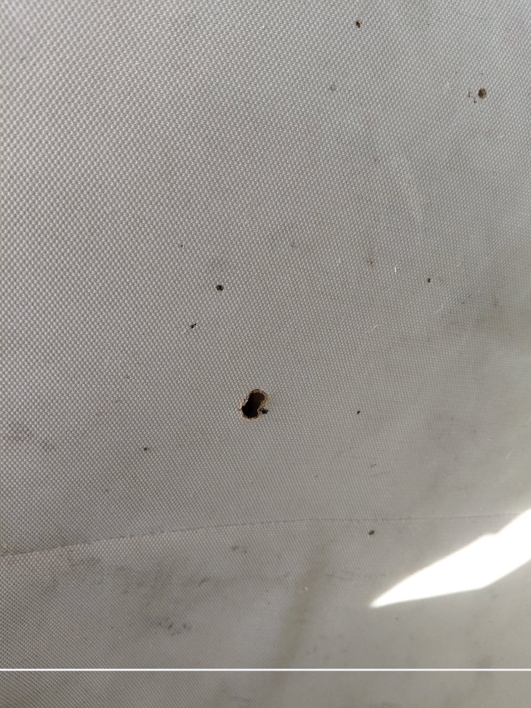 هيونداي سوناتا FLEET 2021 image