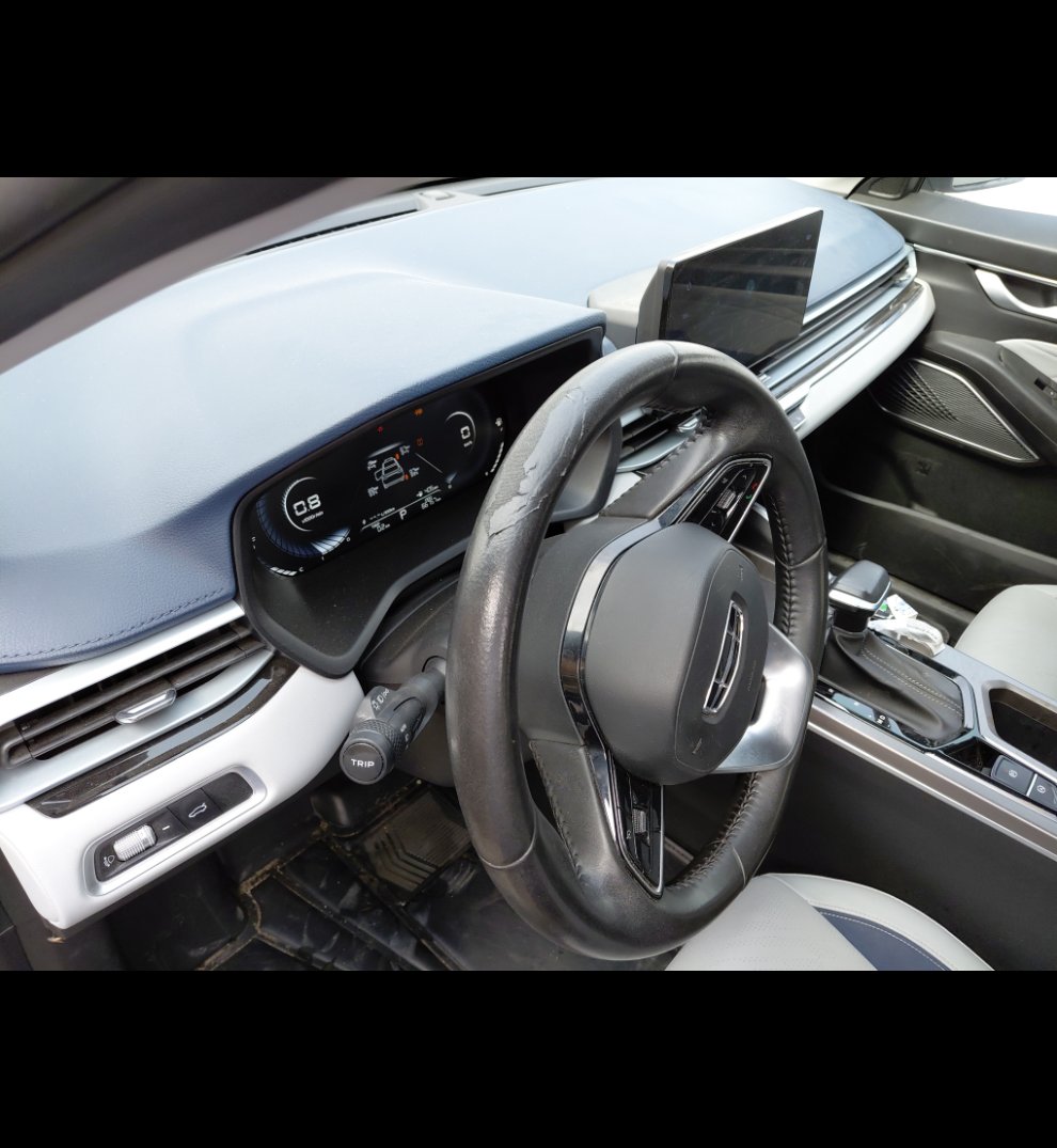 Geely Emgrand LUXURY  2023 image